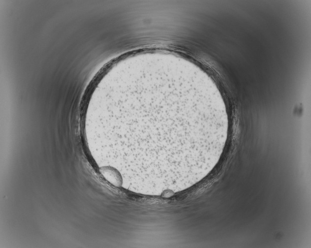 X0000112930924200910051128