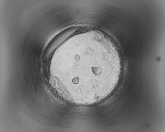 X0000112930925200910051128