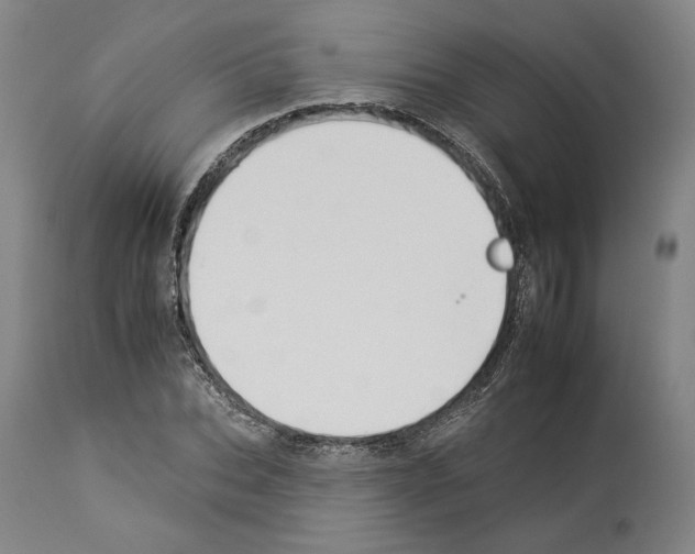X0000112930927200910051128
