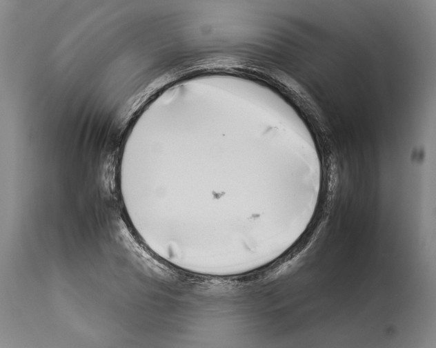 X0000112930929200910051128