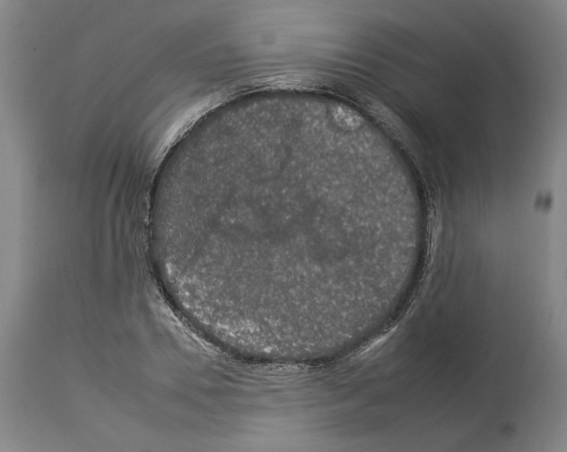 X0000112930930200910051128