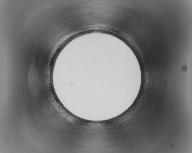 X0000112930931200910051128