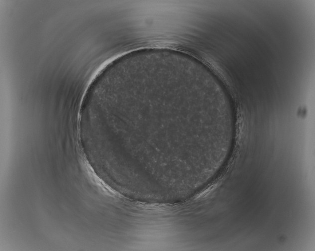 X0000112930932200910051128
