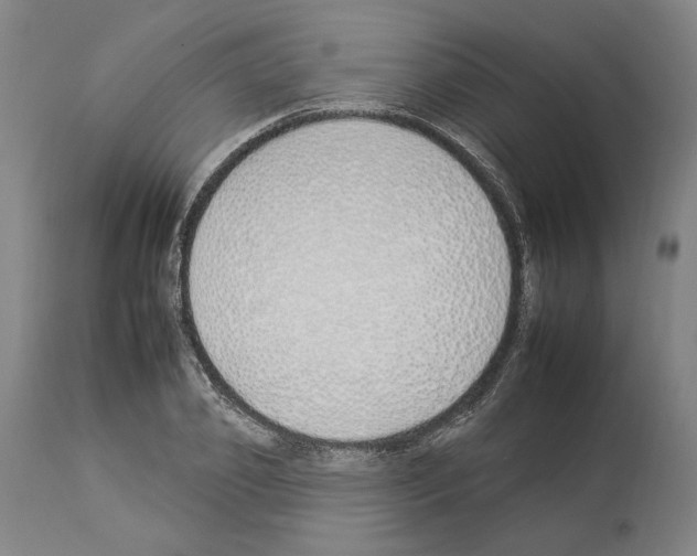 X0000112930933200910051128