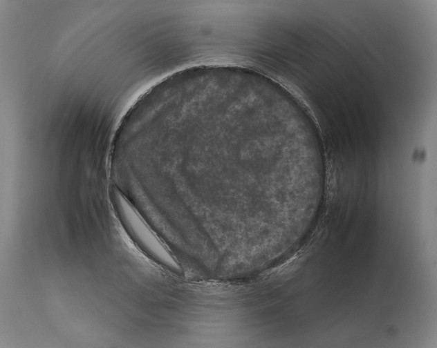 X0000112930935200910051128