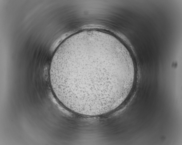 X0000112930937200910051128