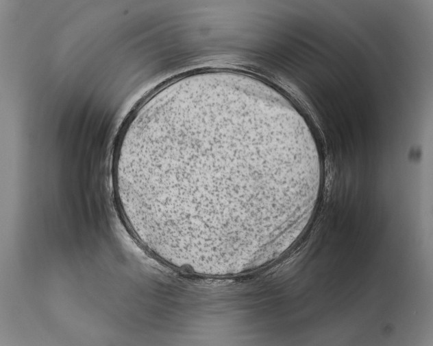 X0000112930939200910051128