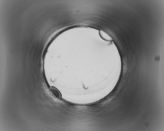 X0000112930940200910051128