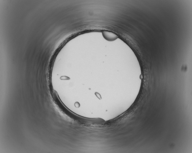 X0000112930942200910051128