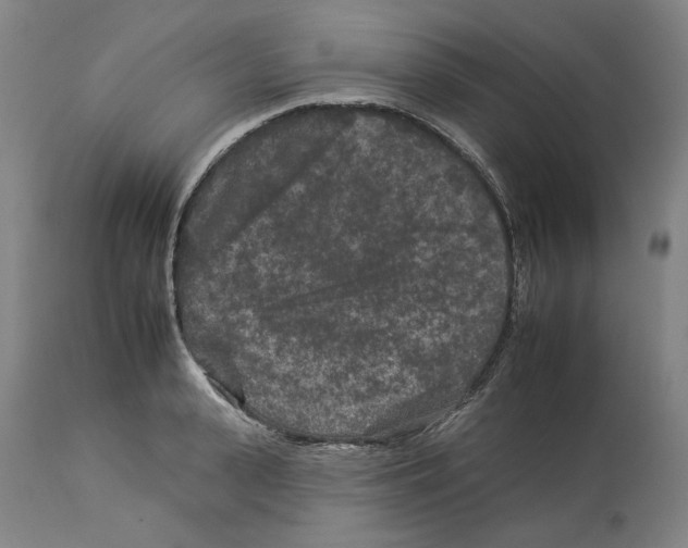 X0000112930943200910051128