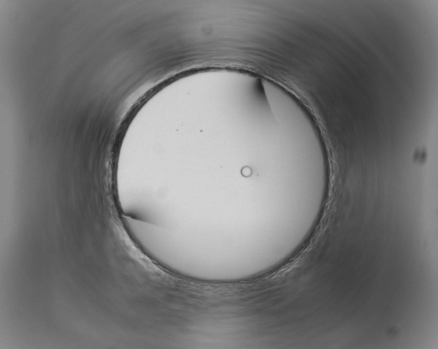 X0000112930944200910051128