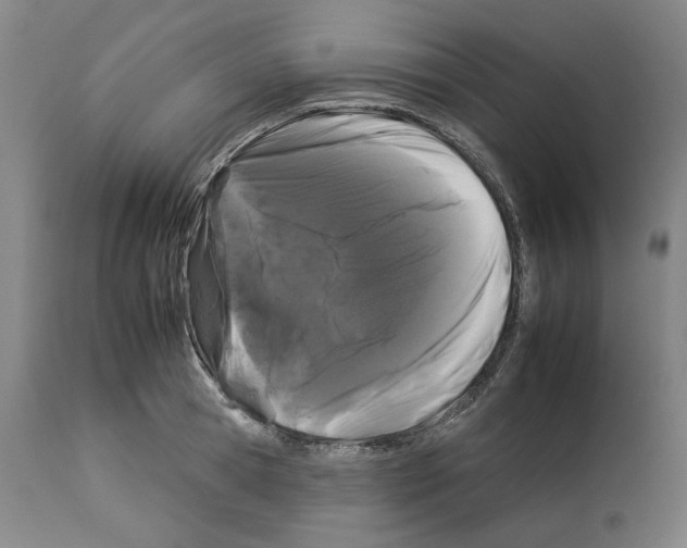 X0000112930945200910051128