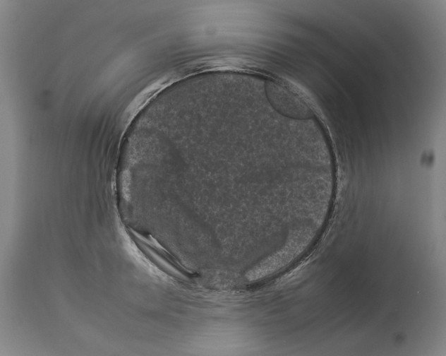 X0000112930946200910051128