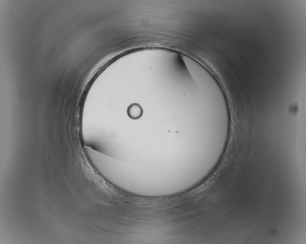 X0000112930948200910051128