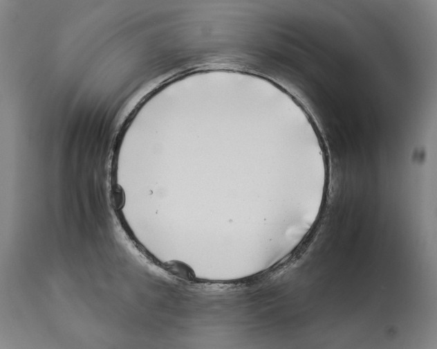 X0000112930949200910051128