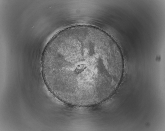 X0000112930950200910051128