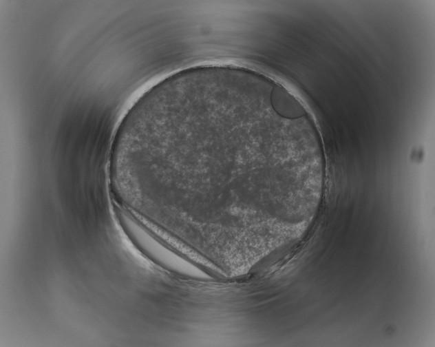 X0000112930951200910051128