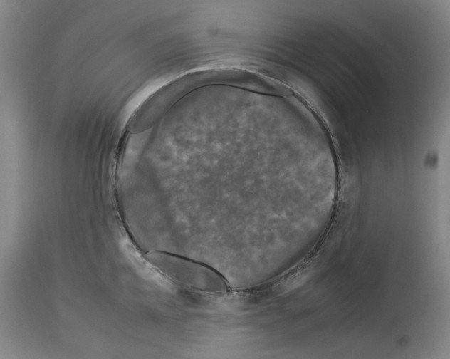 X0000112930952200910051128
