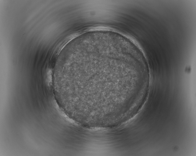 X0000112930953200910051128