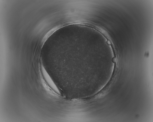 X0000112930954200910051128
