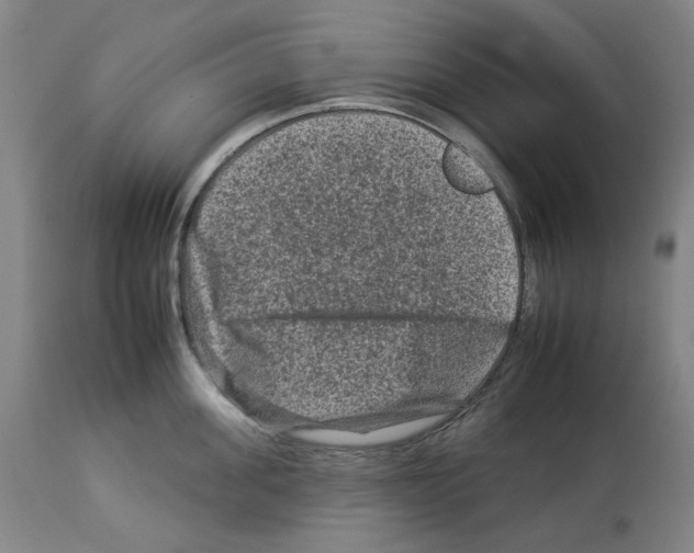 X0000112930955200910051128
