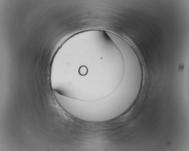 X0000112930956200910051128