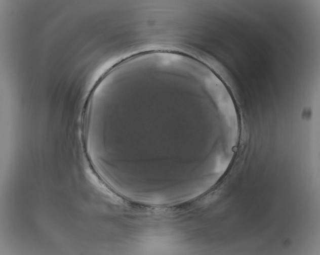 X0000112930958200910051128