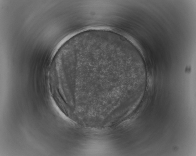 X0000112930959200910051128