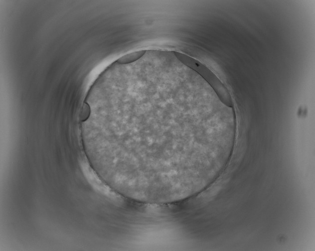 X0000112930960200910051128