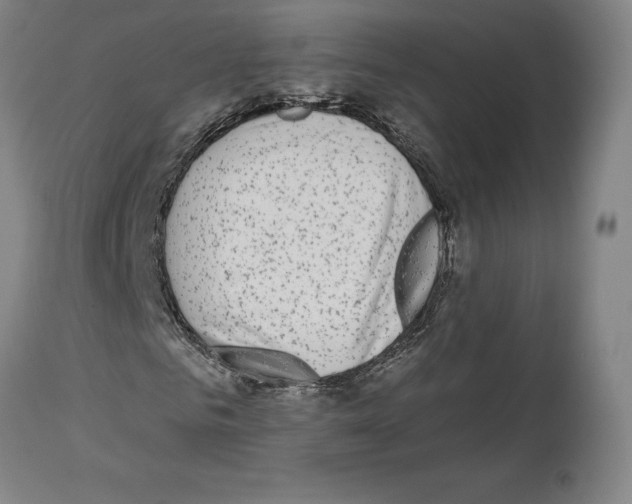 X0000112930961200910051128
