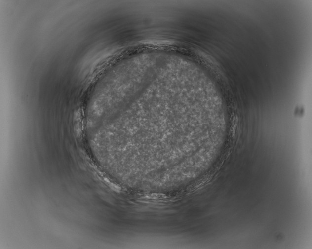 X0000112930966200910051128