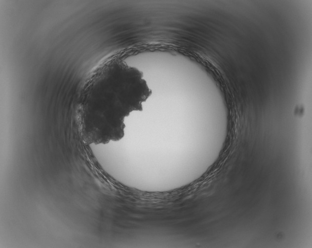 X0000112930968200910051128