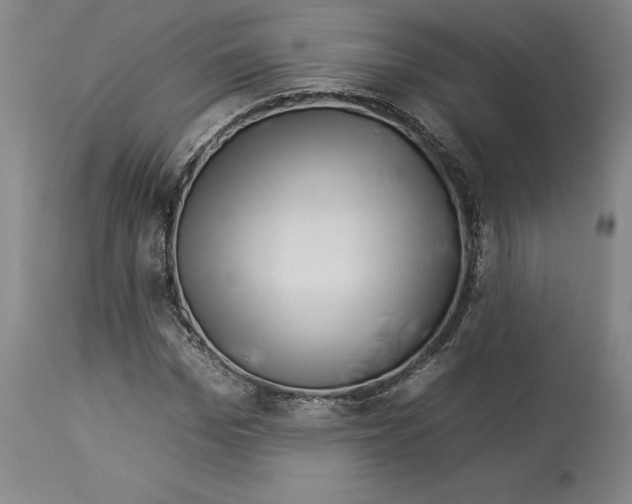 X0000112930969200910051128