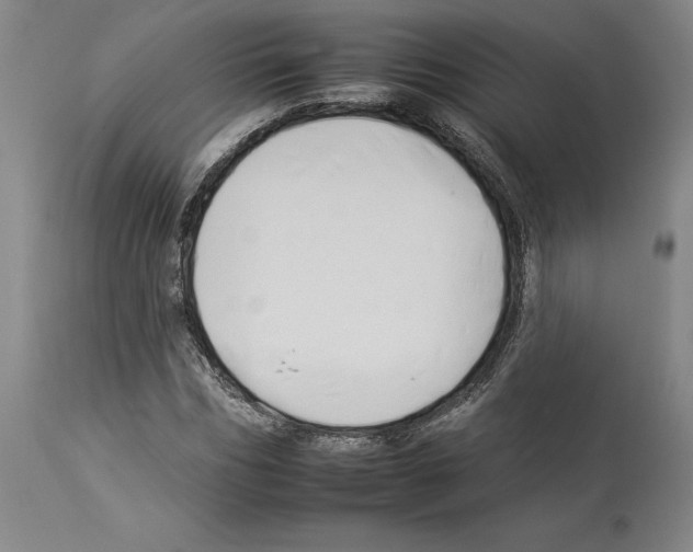 X0000112930970200910051128