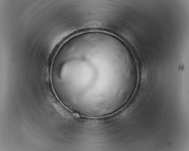 X0000112930973200910051128