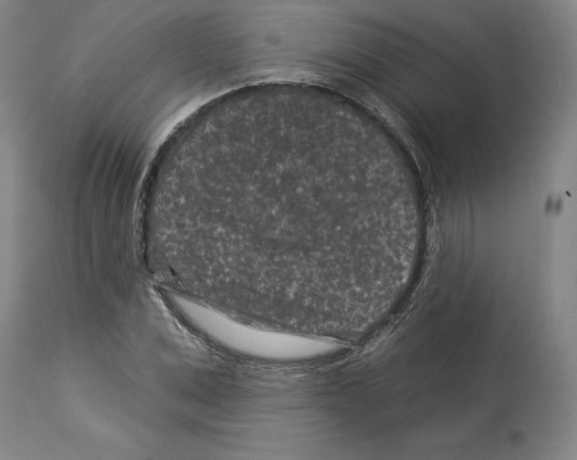 X0000112930975200910051128