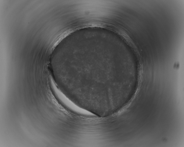 X0000112930977200910051128