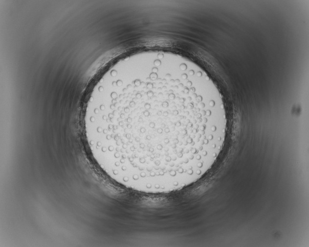 X0000112930978200910051127