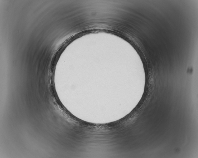 X0000112930979200910051127