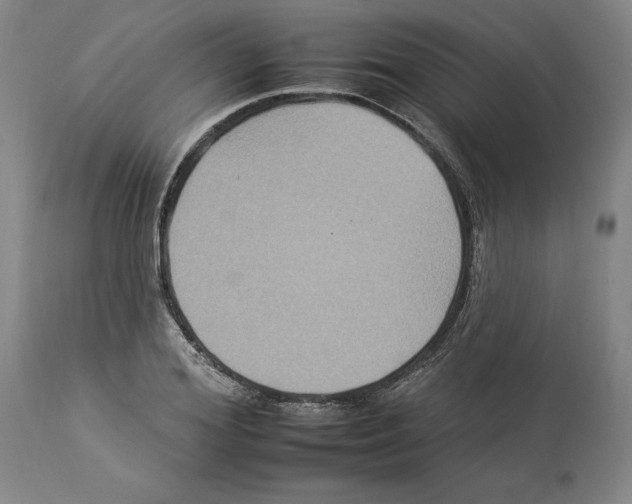 X0000112930980200910051127