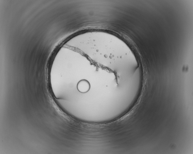 X0000112930981200910051127