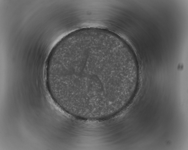 X0000112930983200910051127