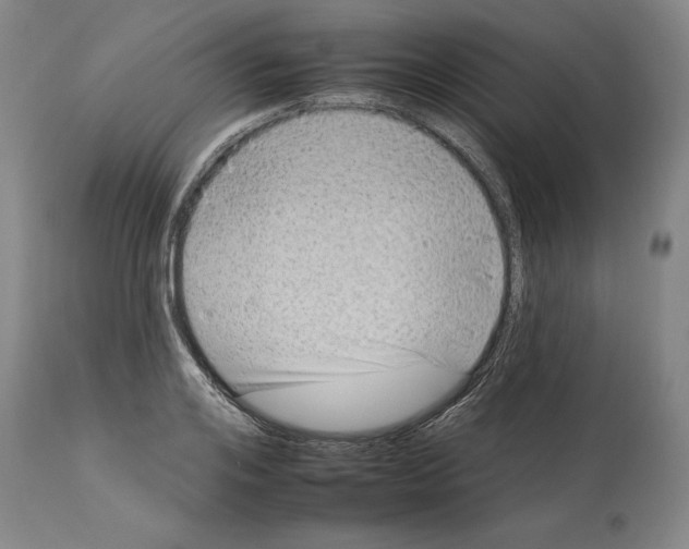 X0000112930984200910051127