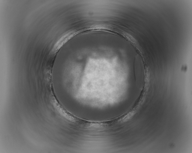 X0000112930985200910051127