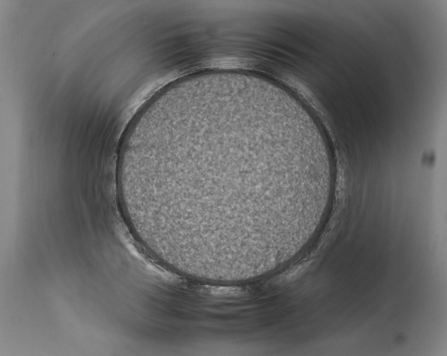 X0000112930986200910051127