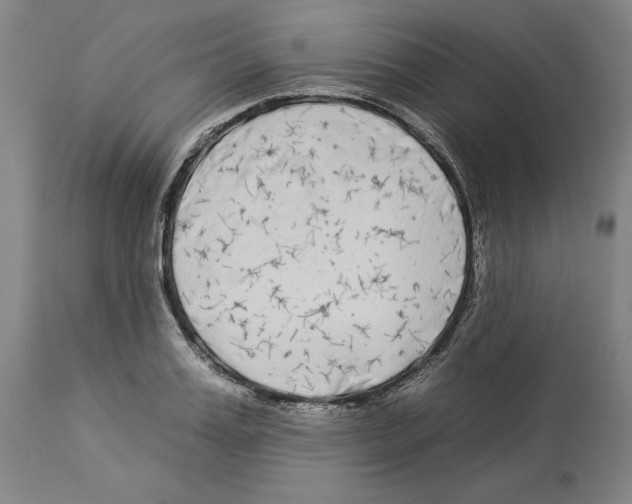 X0000112930987200910051127