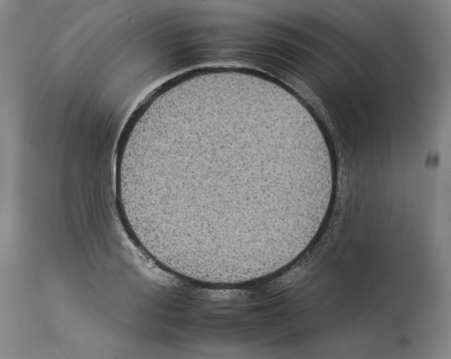 X0000112930988200910051127
