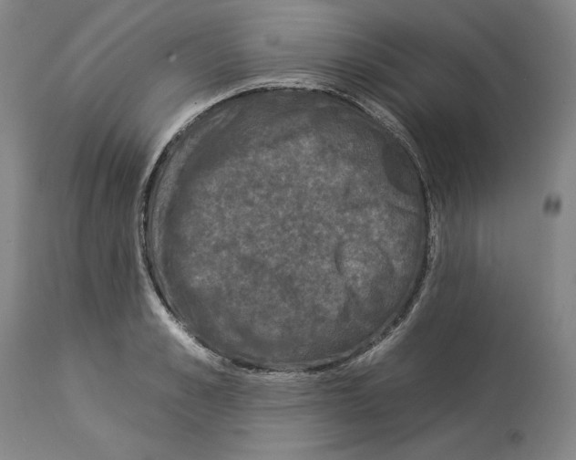 X0000112930989200910051127