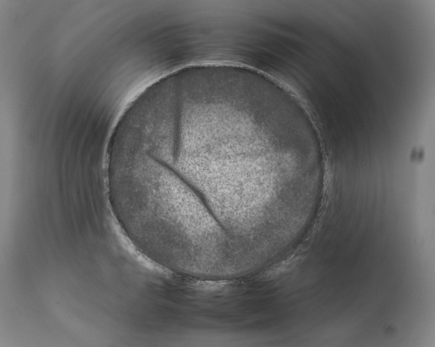 X0000112930990200910051127
