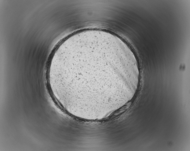X0000112930991200910051127